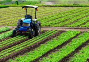 Agriculture