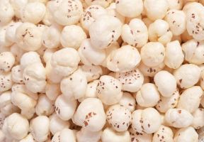 Premium Makhana Fox Nuts for Export